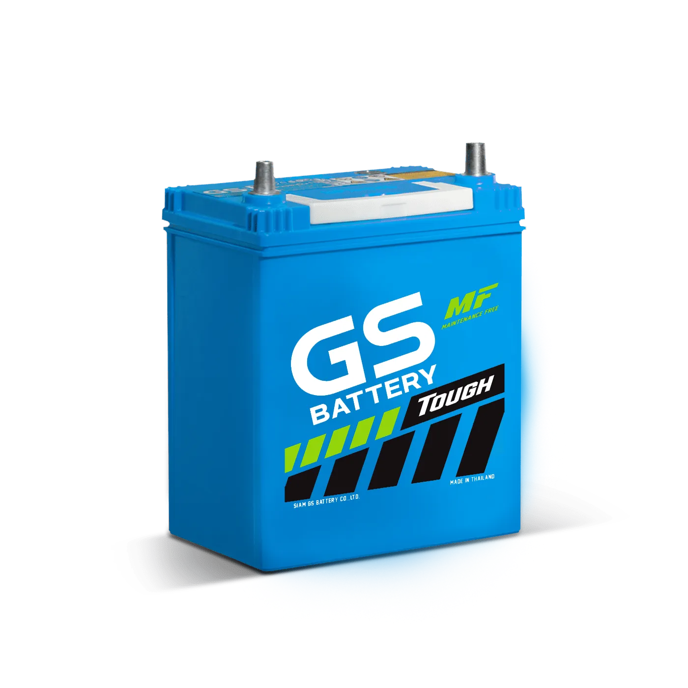 GS Battery